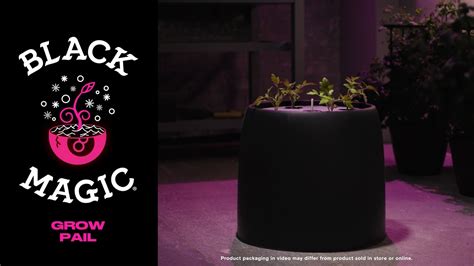Black Magic Grow Pails: Sustainable Gardening at Your Fingertips